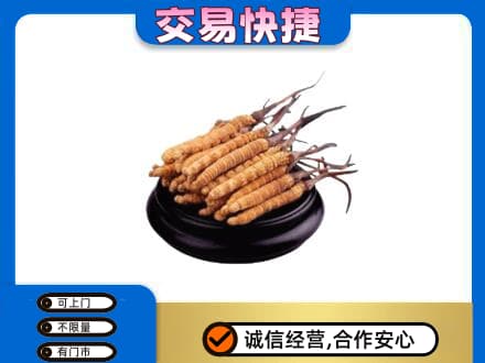 济宁市泗水礼品回收散虫草.jpg